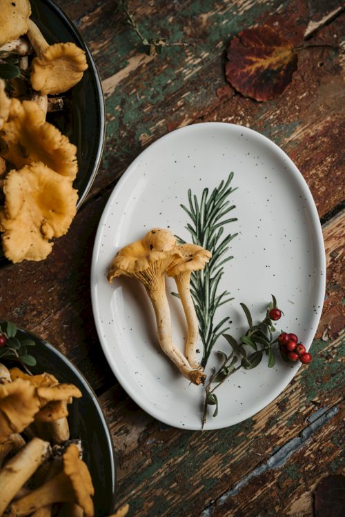 The image shows a white plate with mushrooms, rosemary, and red berries on a rustic table. There are more mushrooms on plates around it.