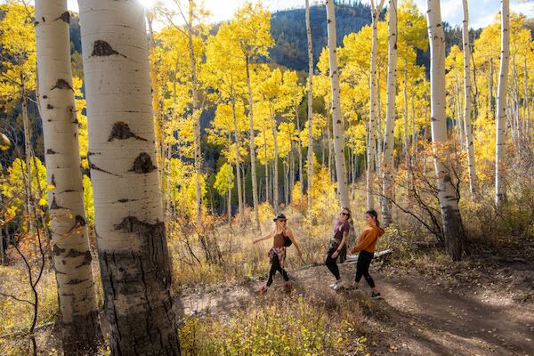 The image shows three people hiking through a vibrant forest of yellow aspen trees on a sunny day. A beautiful autumn scene.