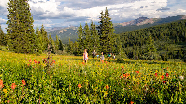 A group of people is hiking through a scenic meadow filled with wildflowers, surrounded by pine trees and mountains in the background.